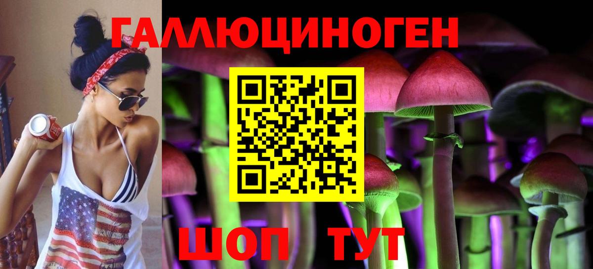 Псилоцибиновые грибы GOLDEN TEACHER Кольчугино